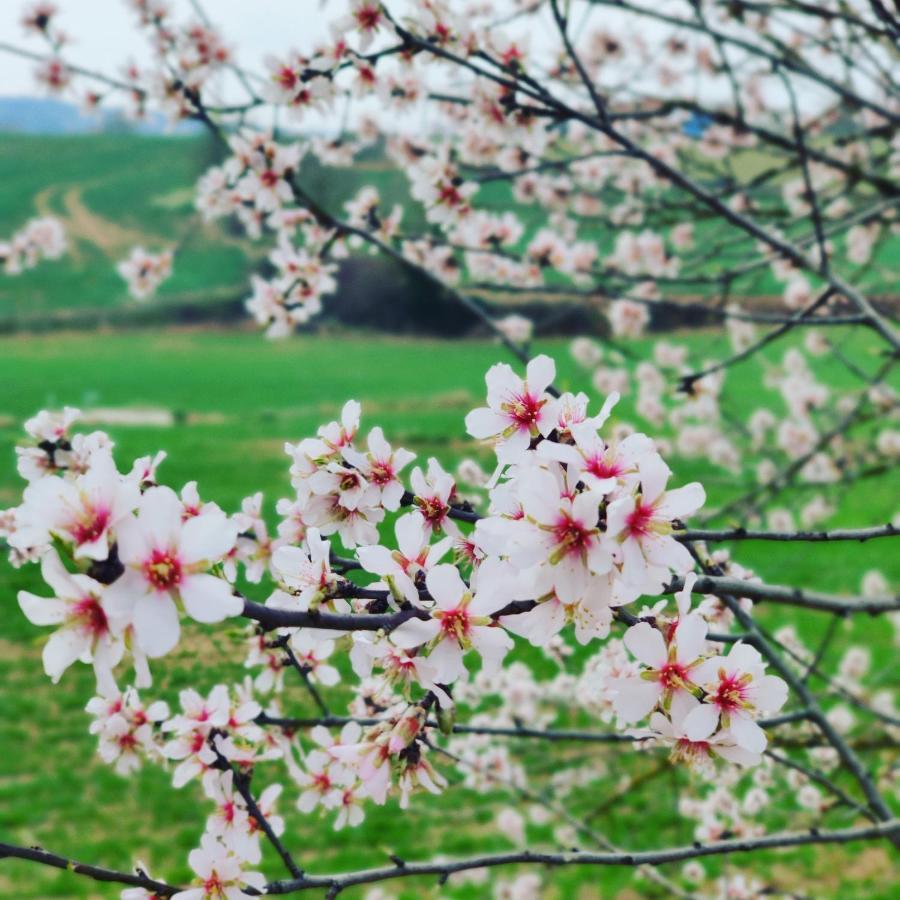 Casa Rural Cal Codina Prats de Rey 外观 照片